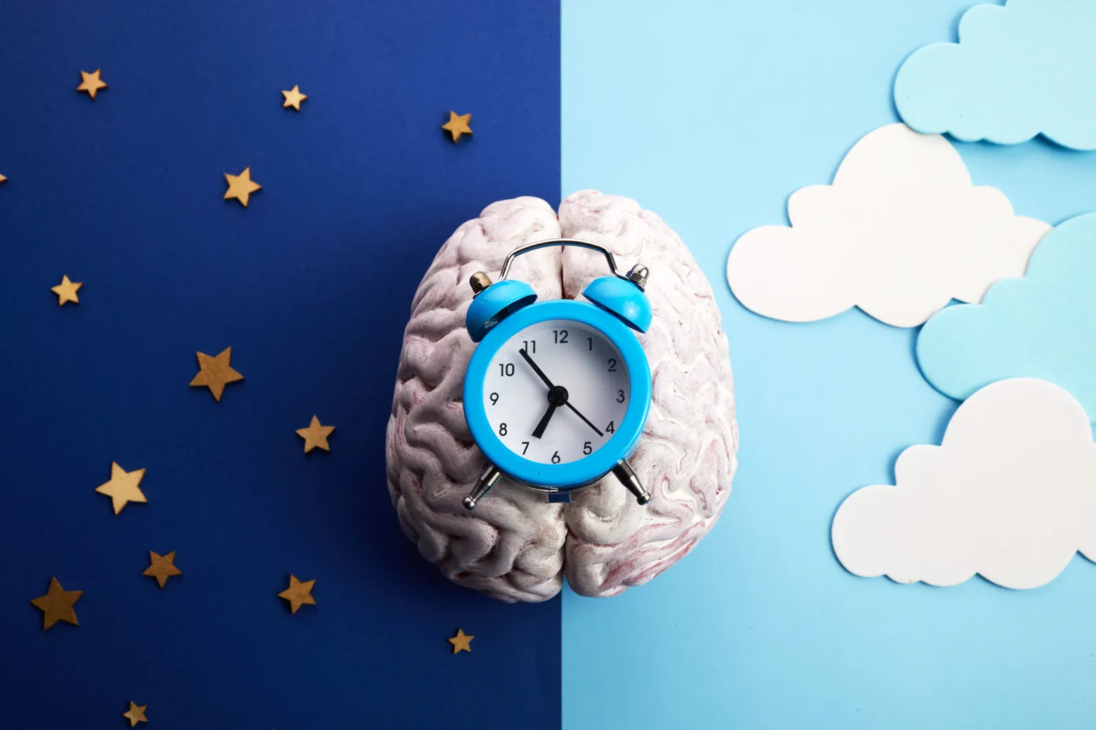 5 things you need to know about circadian rhythms