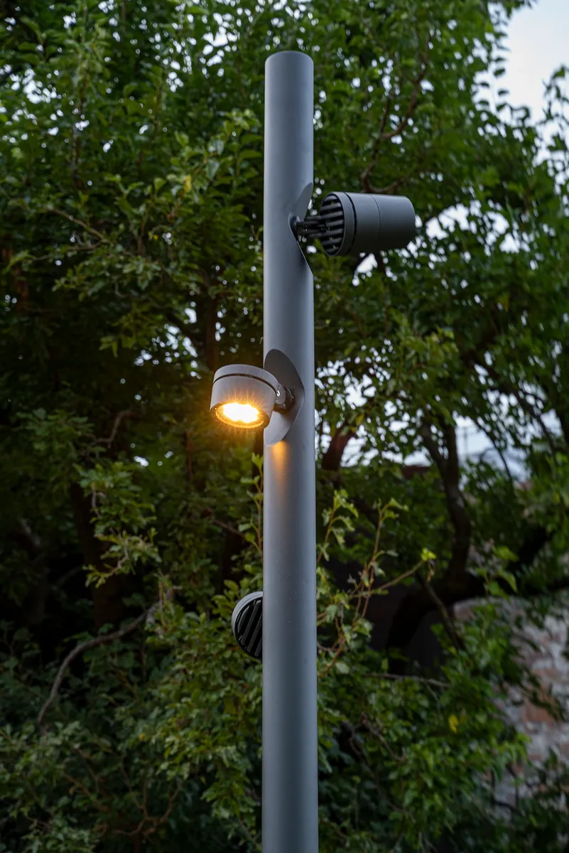A Chameleon pole standing among trees, two heads on one column and the lower one lit warm against the foliage.