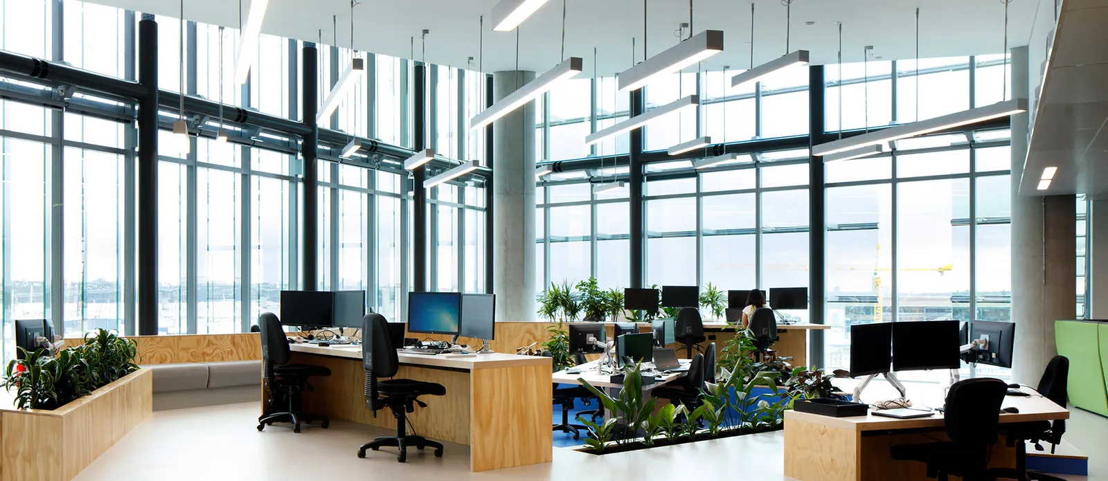 How does lighting impact our health and productivity?
