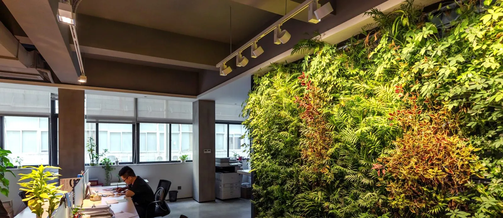 How do I light a green wall?