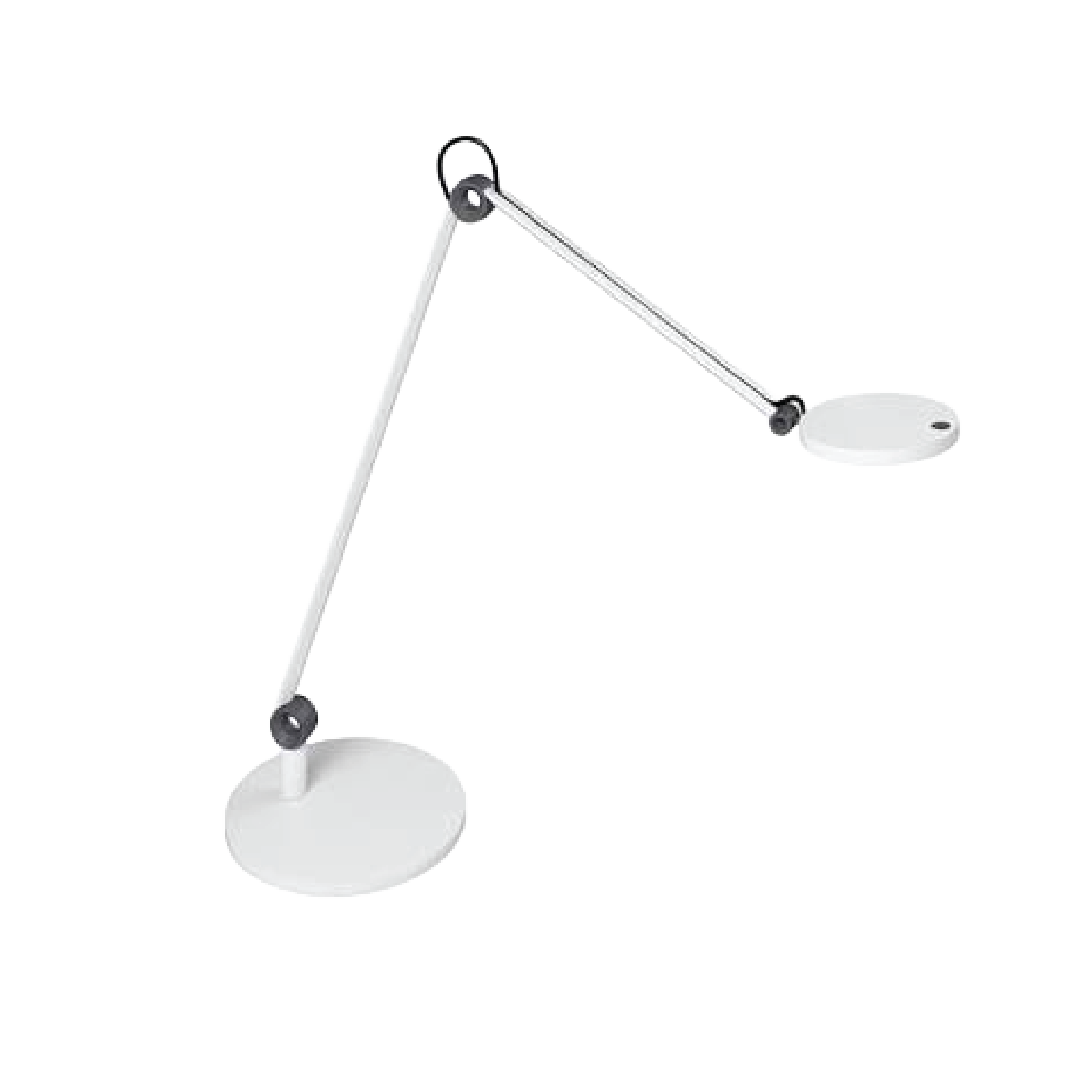 Waldmann Para.Mi