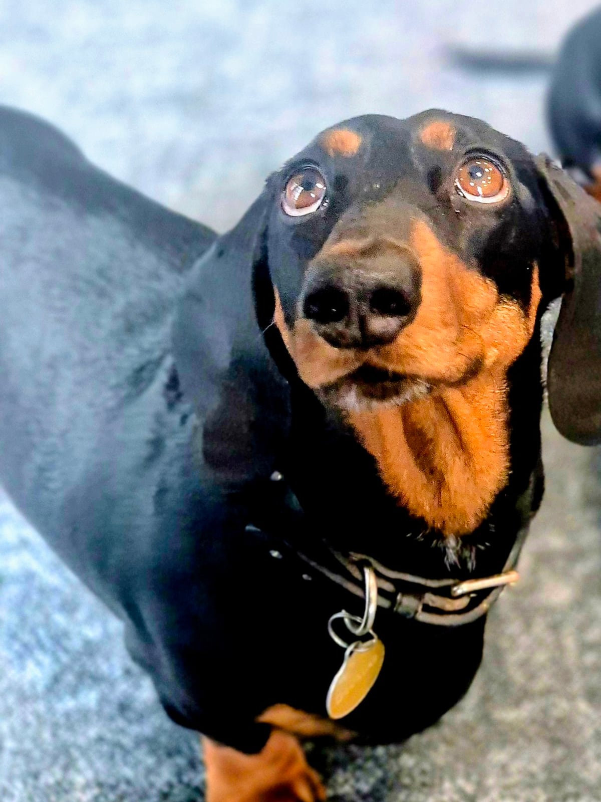 Doug