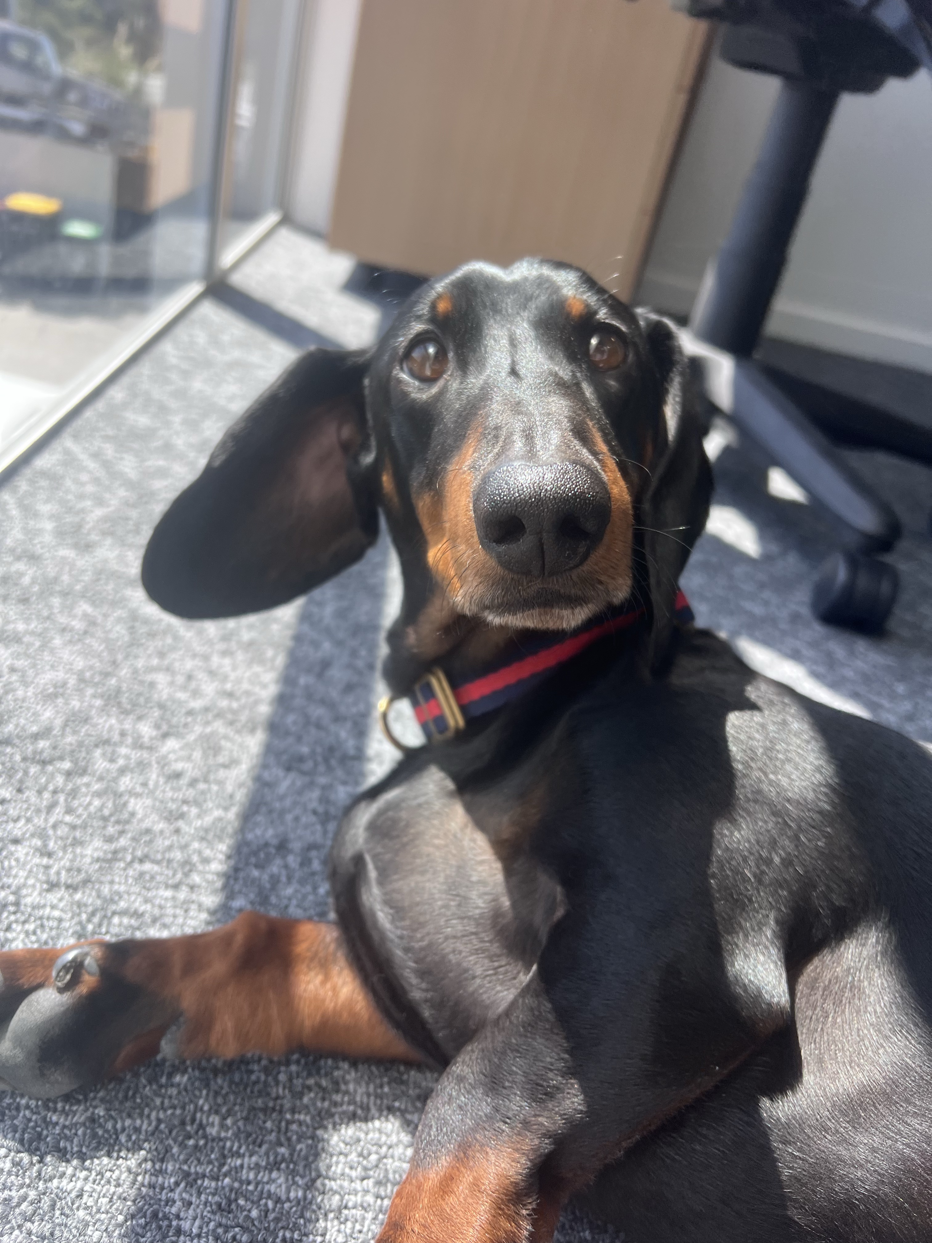 Ernie
